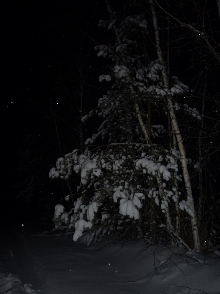 Елена Барабанова | Нижний Новгород