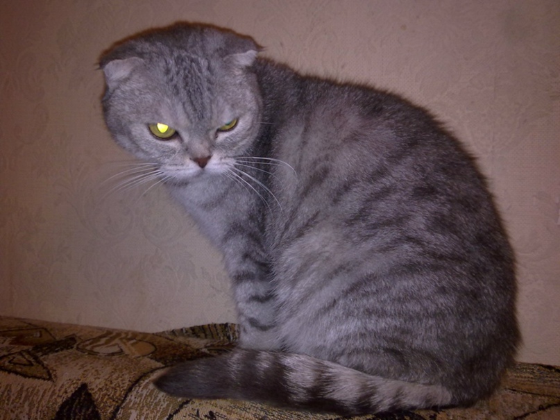 Сергей Беляков | Нижний Новгород