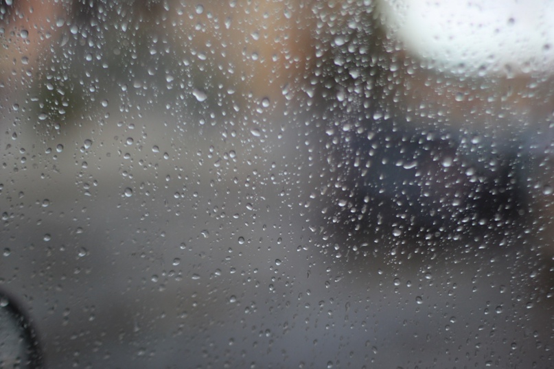 Анна Гребенюк | Bologna