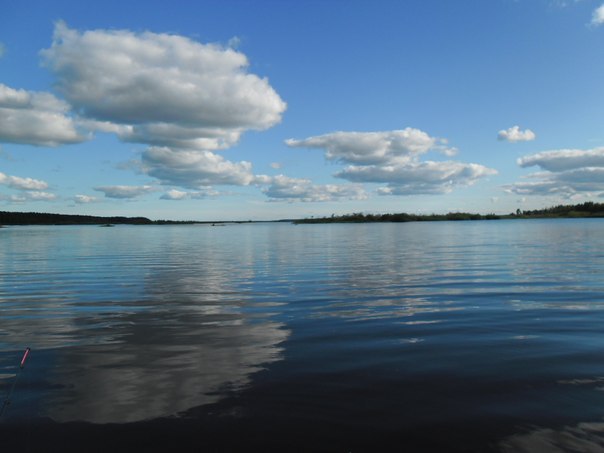 Алексей Девяткин |