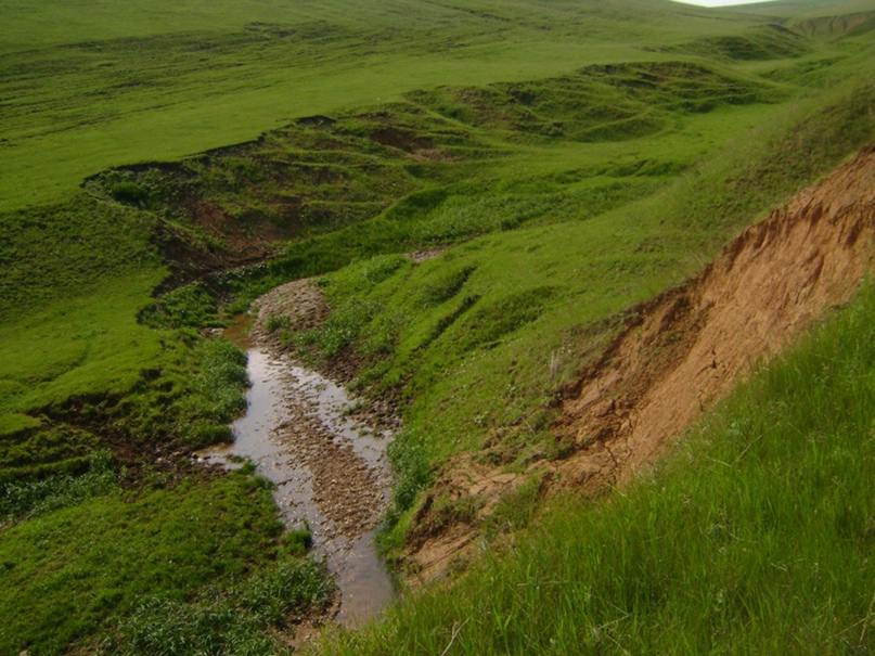 Алия Аминова =)♥малышка♥=) | Казань