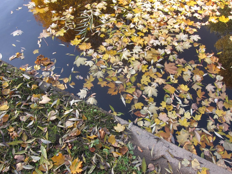 Надежда Римская-Корсакова | Москва