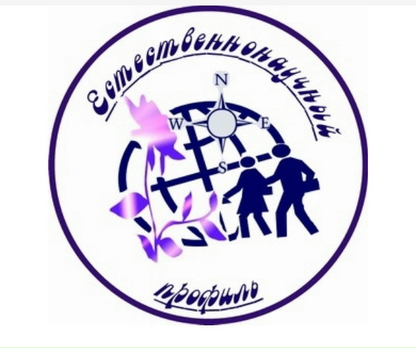 Естественно научный исследовательский проект