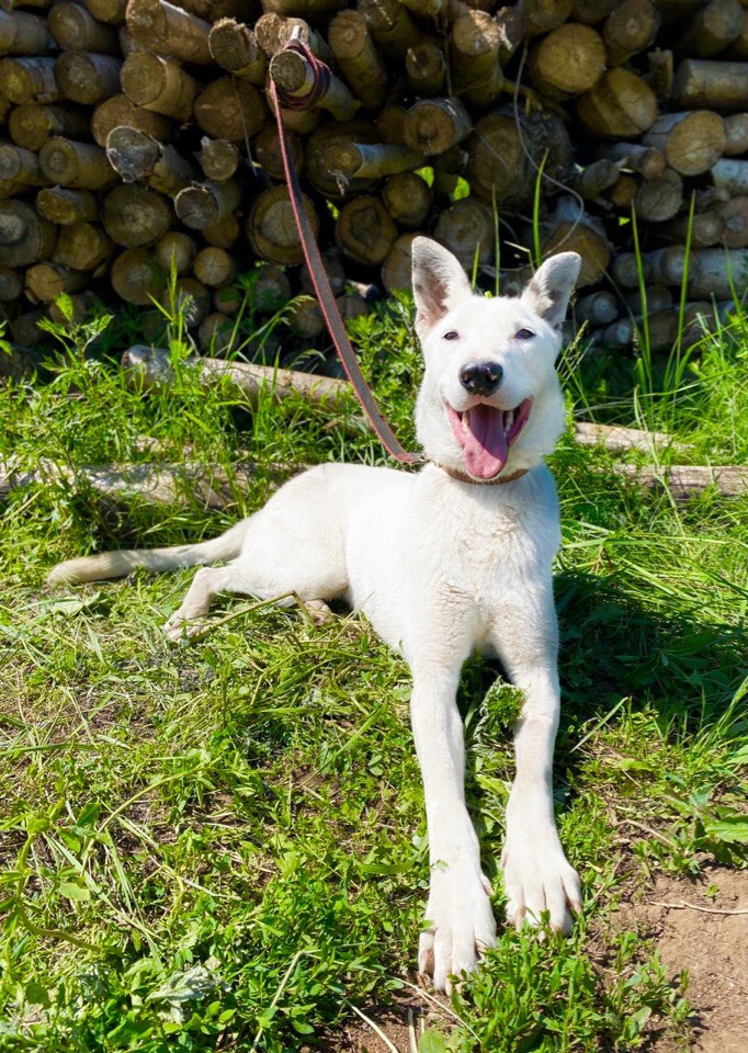 Мы очень-очень хотим домой!
Возьми меня,