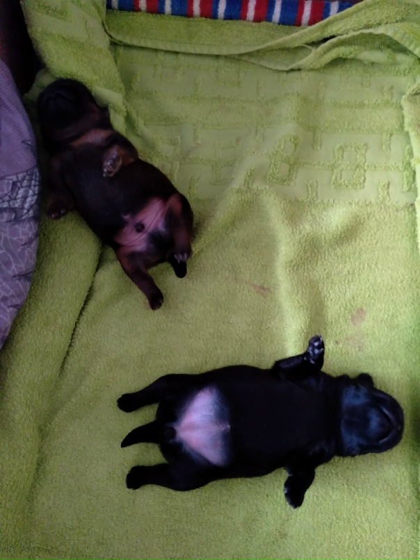 Альбина Степанова | Казань