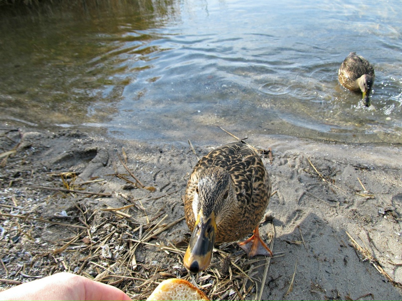 Сергей Хализов | Москва
