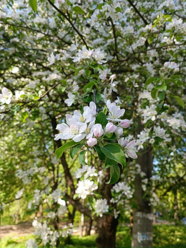 Марина Зацепина | Оренбург