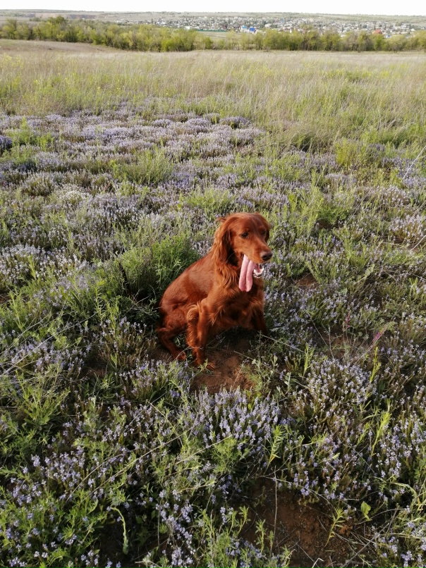 Елена Шулепина | Волгоград