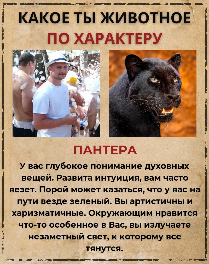 Андрей Петров | Москва