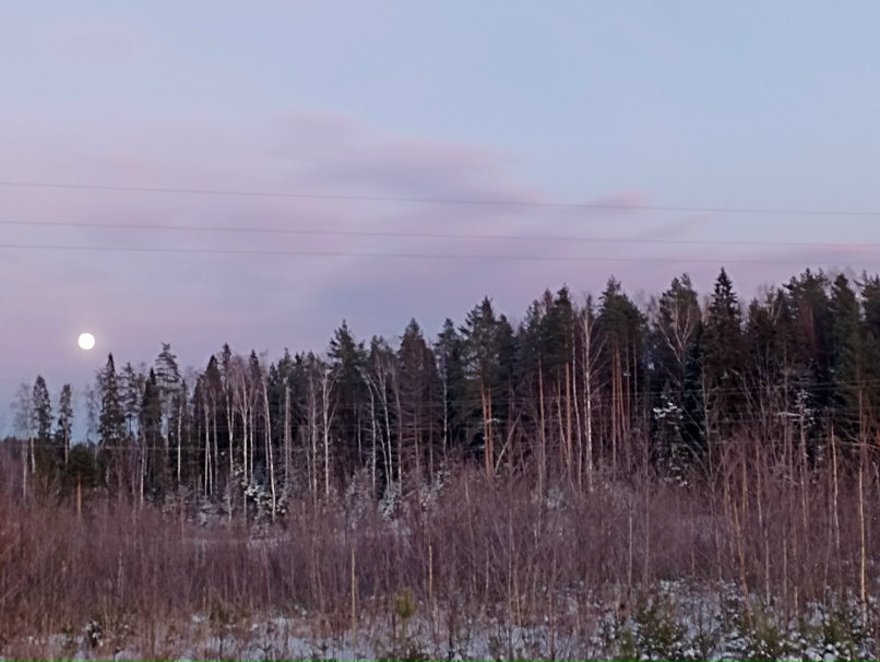 Александра Малиновская | Ярославль