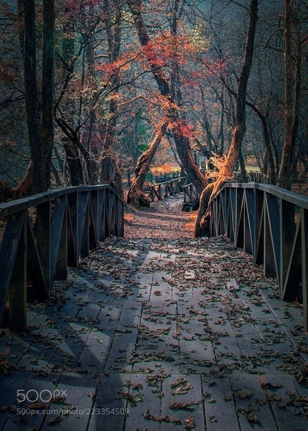 Olga Chuprova | Благовещенск