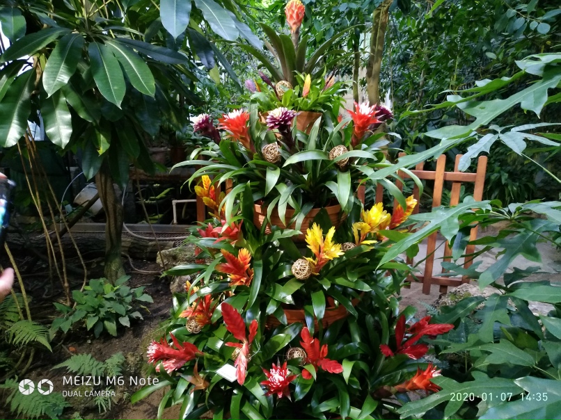 Ирина Веселова | Санкт-Петербург