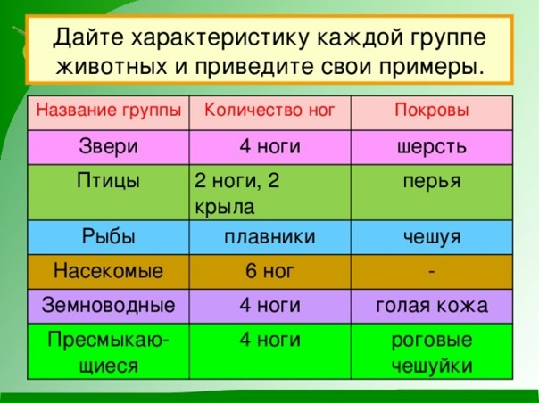 СПИСОК ГРУПП ЖИВОТНЫХ photos