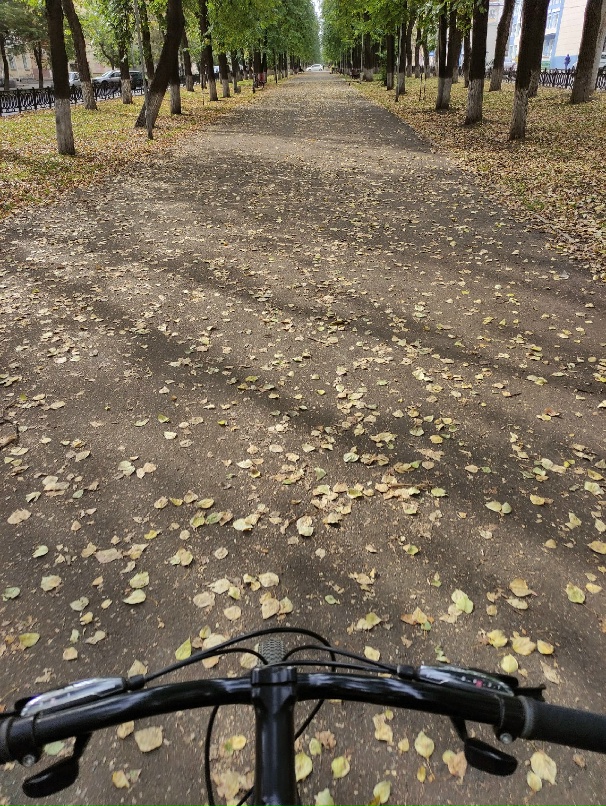 Елена Гольцова | Киров