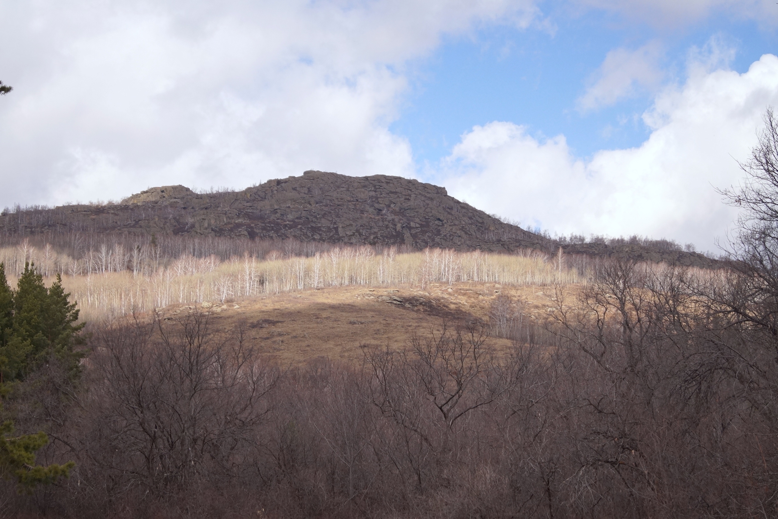 VgliqMAfQoY.jpg?size=2560x1707&quality=9