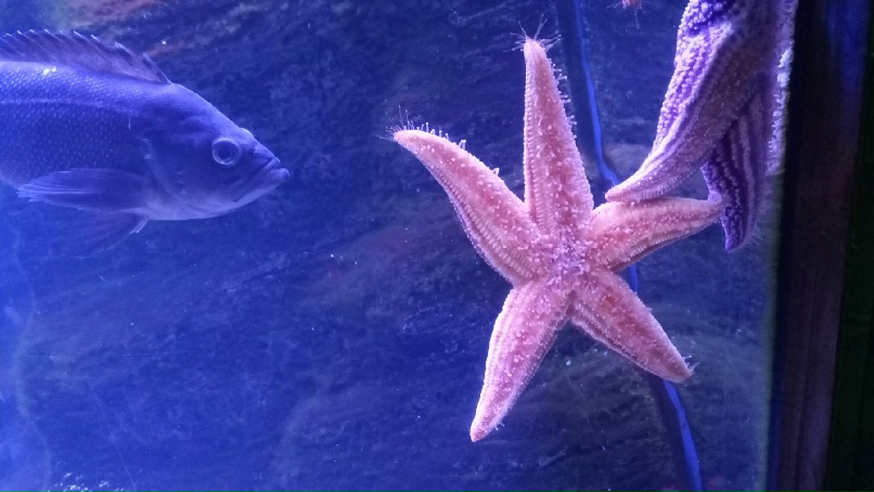 Константин Савельев | Москва