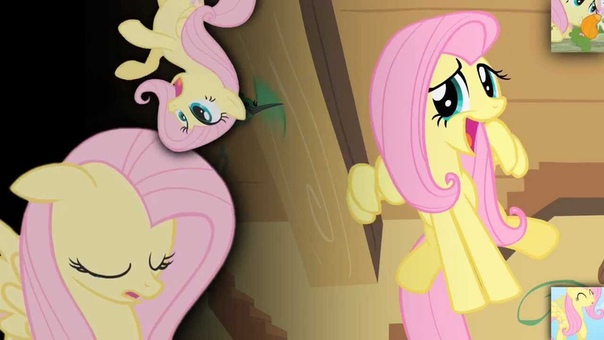 Flutter