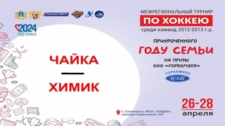 Межрегиональный турнир по хоккею. Чайка - Химик. Ульяновск . Игроки  2012-2013 гр.