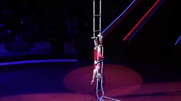 Гала 1, Гимнастка на трапеции Lisa Rinne (2012)