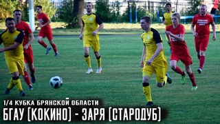 Валидольный БГАУ. 1/4 финала Кубка Брянской области. БГАУ (Кокино) - Заря (Стародуб) /