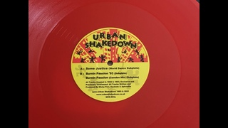 Urban Shakedown -- Burnin Passion (Camden Mix) (Dubplate)