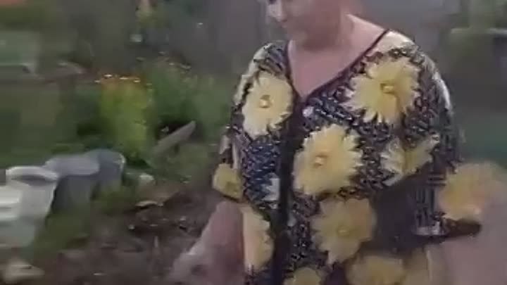 Моя жена не работает (, сидит дома,