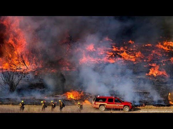 Natural Disasters today, 15th of March 2022 Amazon forest in big danger World events,