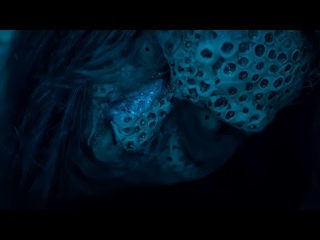 Замок дьявола — Русский трейлер (2024)