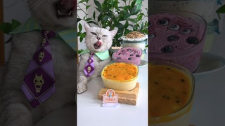 Homemade Ice Cream That Rival Hagen-Dazs #chefcat #catcookingfood #shorts