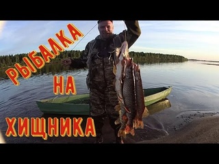 БЕШЕНЫЙ КЛЁВ ЩУКИ/ТРОЛЛИНГ/РЕКА ВЫЧЕГДА