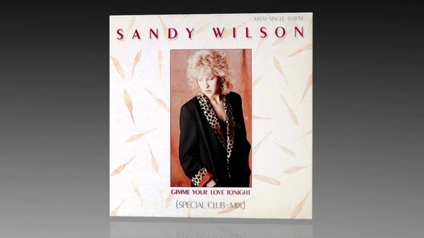 Sandy Wilson Gimme Your Love Tonight ( Special Club