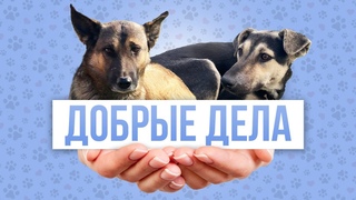 Дари Любовь и Еду