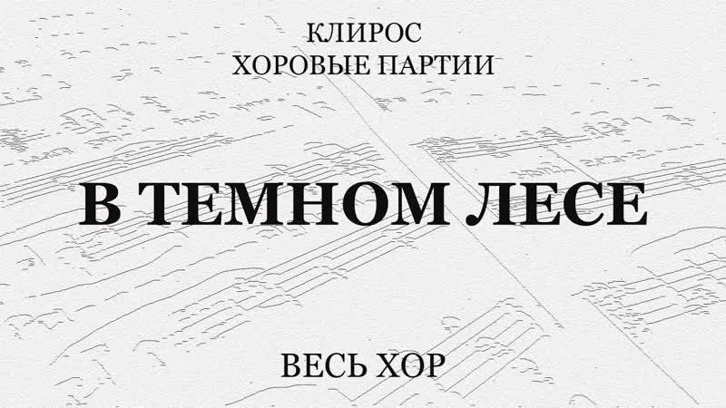 В темном лесе. In the dark forest. Весь