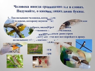 онлайн-викторина “Что мы знаем о птицах“