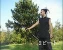 Imakokode staff tutorial II [Jp]